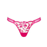 Bluebella LEONORA Brief (Fuchsia Pink/Sheer) | Avec Amour Sexy Lingerie