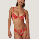 Bluebella MARIAN Panty (Tomato Red/Sheer) | Avec Amour Sexy Lingerie