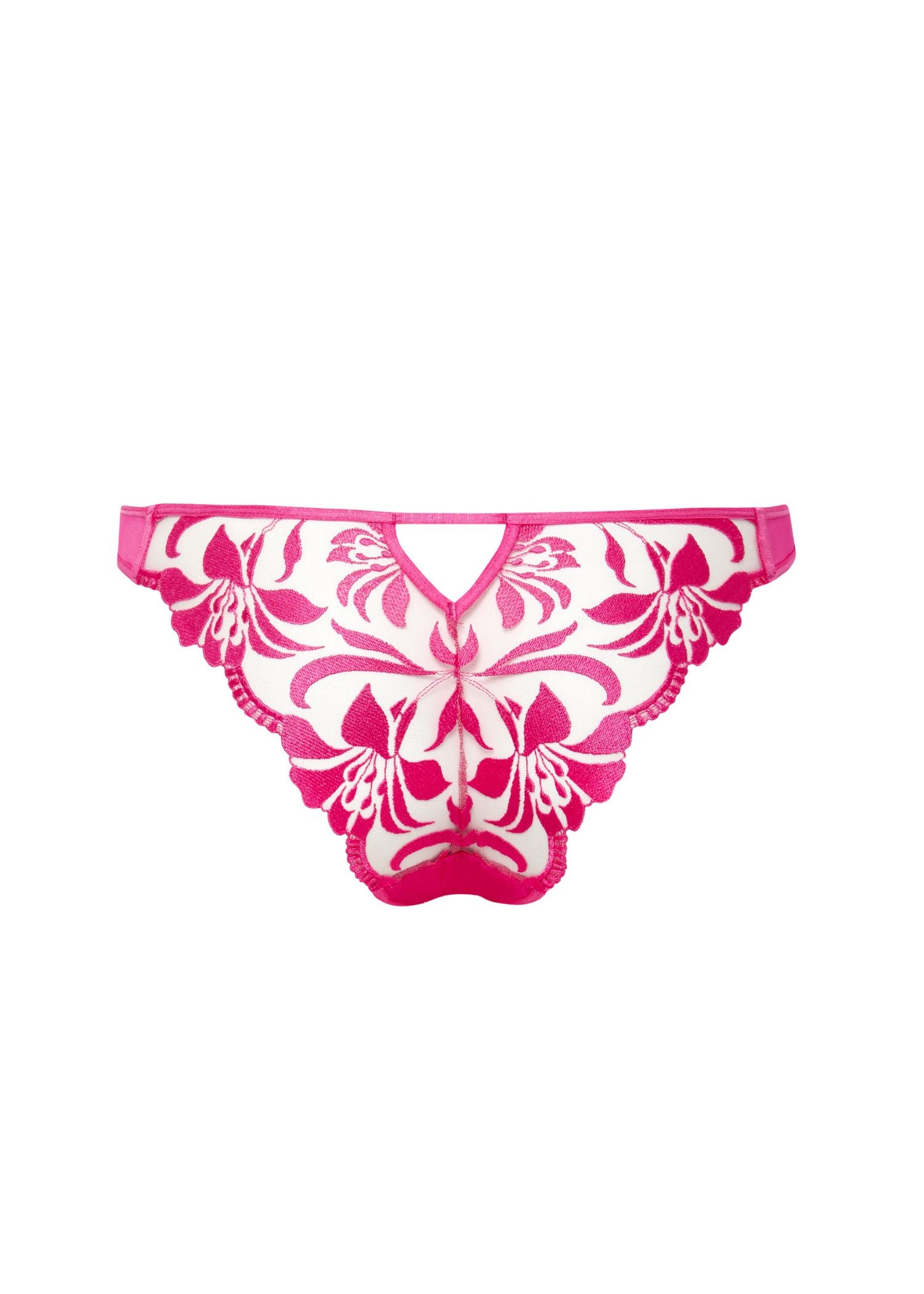 Bluebella LEONORA Brief (Fuchsia Pink/Sheer) | Avec Amour Sexy Lingerie