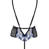 Bluebella LYANDRA Soft Body (Egyptian Blue/Black/Sheer) | Avec Amour Sexy Lingerie