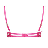 Bluebella LEONORA Wired Bra (Fuchsia Pink/Sheer) | Avec Amour Sexy Lingerie