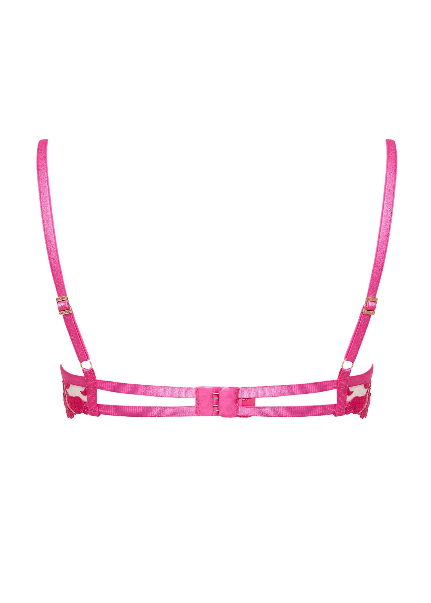 Bluebella LEONORA Wired Bra (Fuchsia Pink/Sheer) | Avec Amour Sexy Lingerie