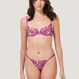 Bluebella Catalina Brief (Bright Violet / Sheer) | Avec Amour Lingerie