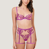 Bluebella Catalina Wired Bra (Bright Violet / Sheer) | Avec Amour Lingerie