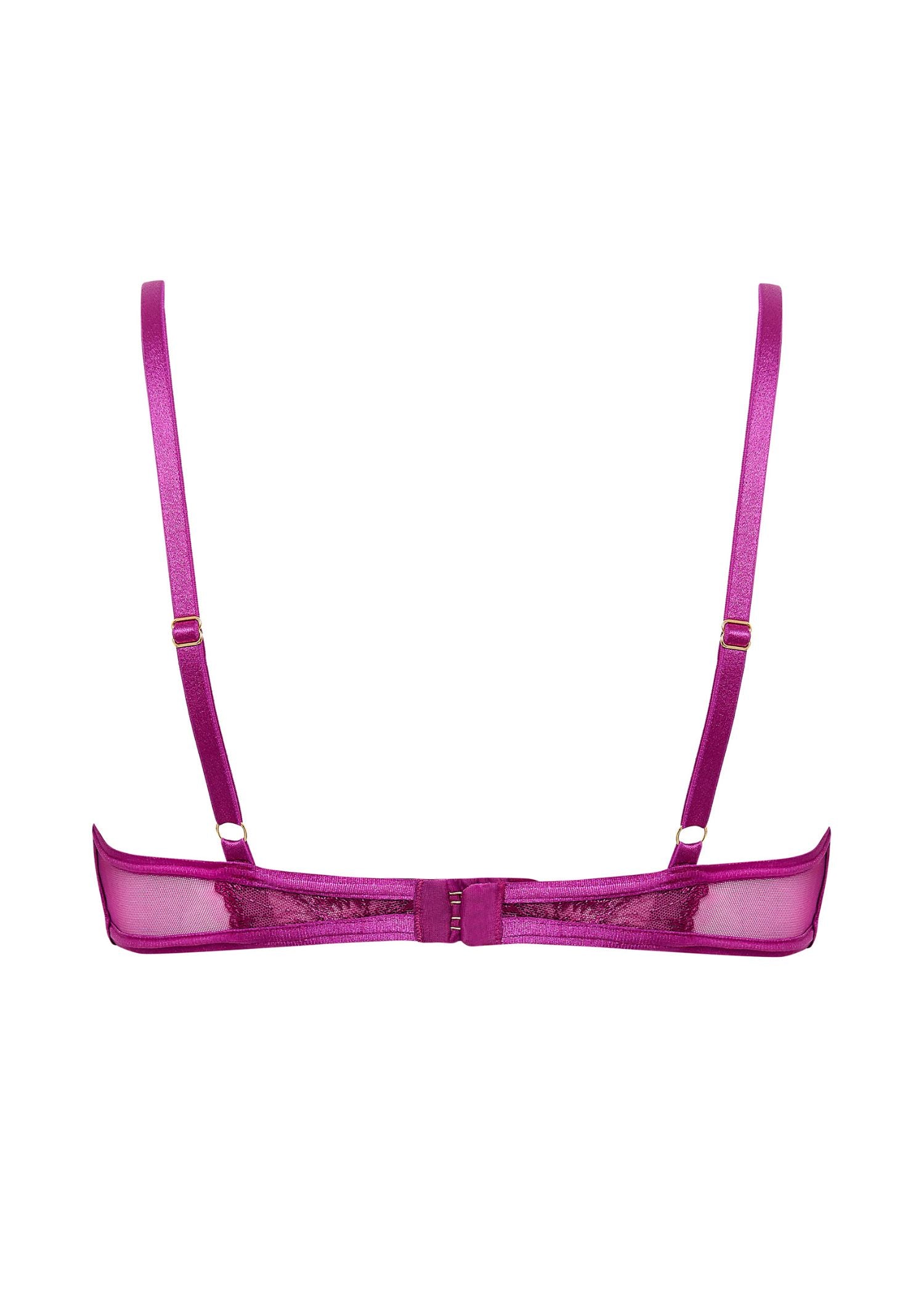 Bluebella Catalina Wired Bra (Bright Violet / Sheer) | Avec Amour Lingerie