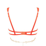 Bluebella Phoenix Open Wired Bra (Coral / Gold) | Avec Amour Lingerie