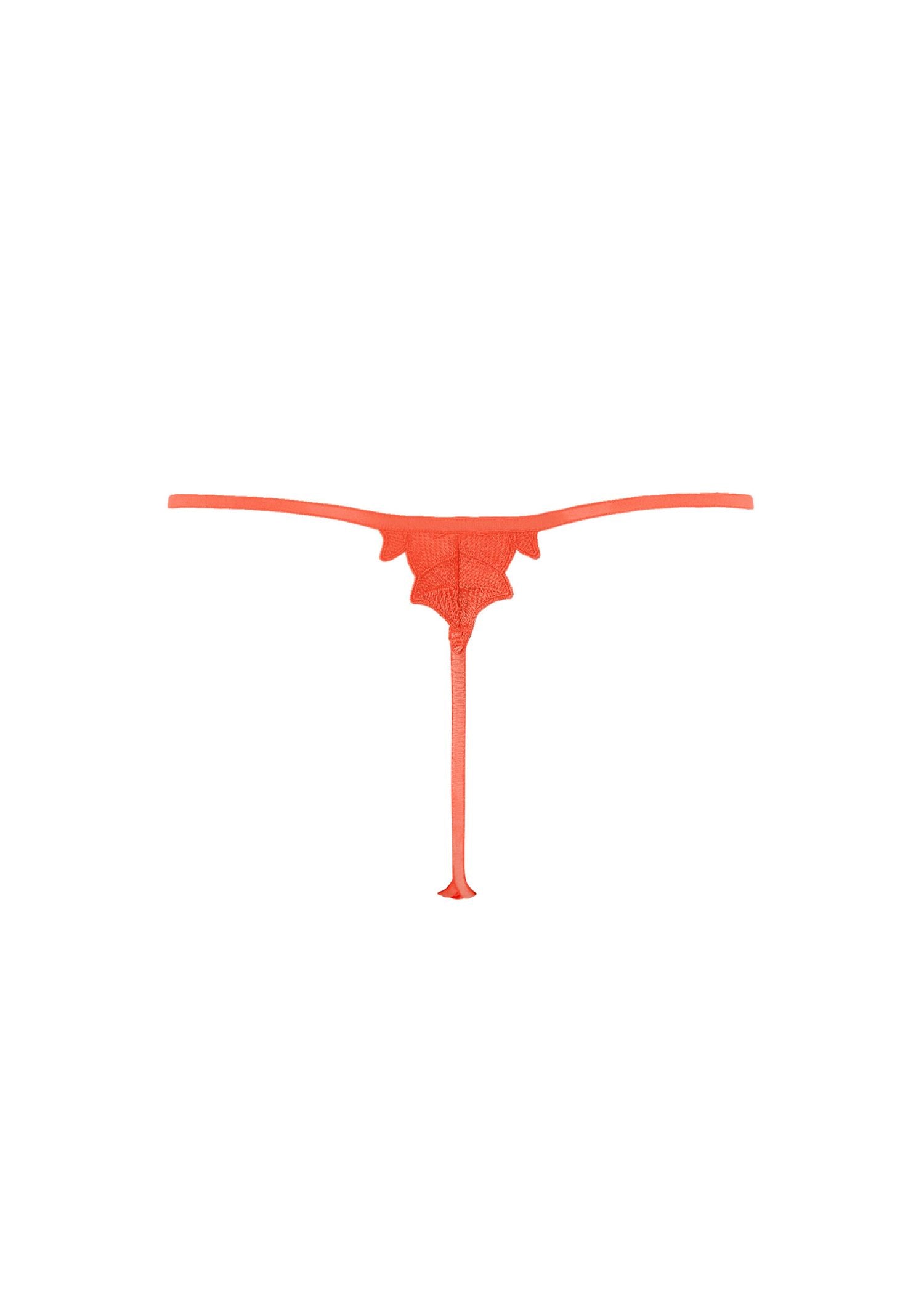 Bluebella Serenity Thong (Hot Coral / Sheer) | Avec Amour Lingerie