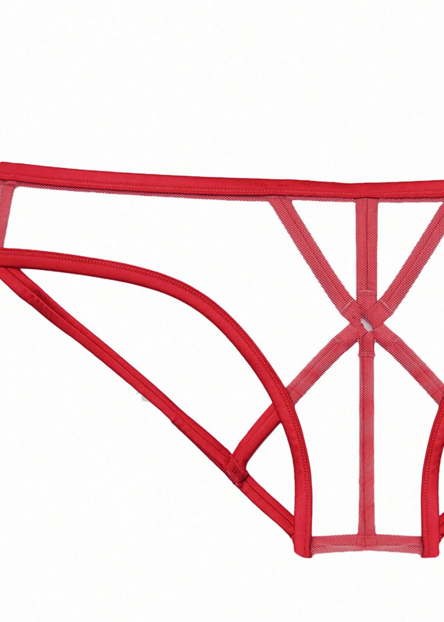 Fleur Du Mal Luxe Strappy Bondage Panty (Rouge) | Avec Amour Lingerie