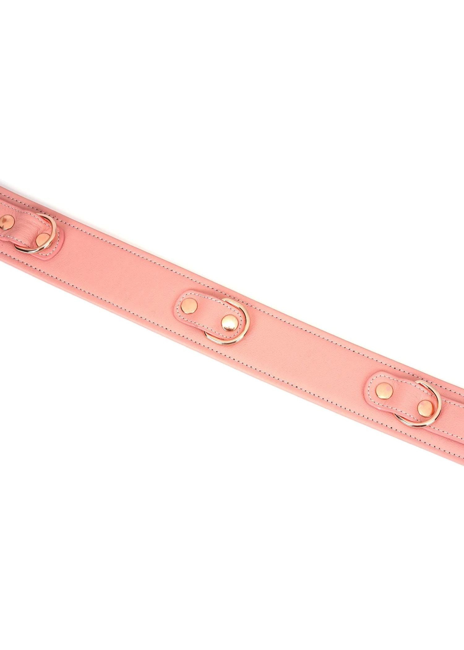 Liebe Seele Pink Dream Thigh Belt | Avec Amour Lingerie