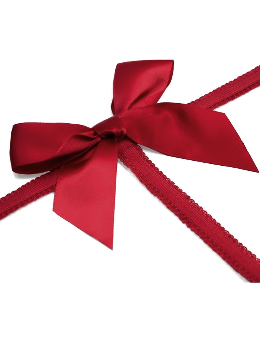 Maison Close Le Petit Secret (Red) Harness and Thong Set | Avec Amour Lingerie