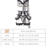Baed Stories Savage Power - Empress Erotic Harness BDSM Bodysuit Lingerie Set - Sexy Lingerie
