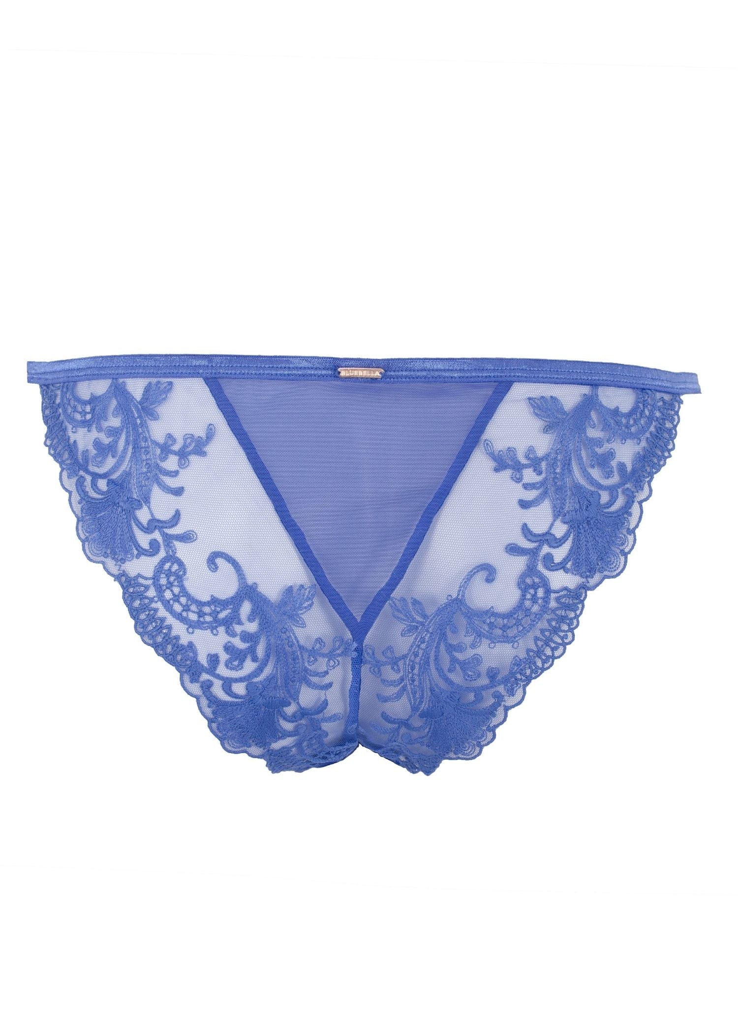 Bluebella Marseille Amparo Blue Mesh Embroidery Brief - Luxury Lingerie