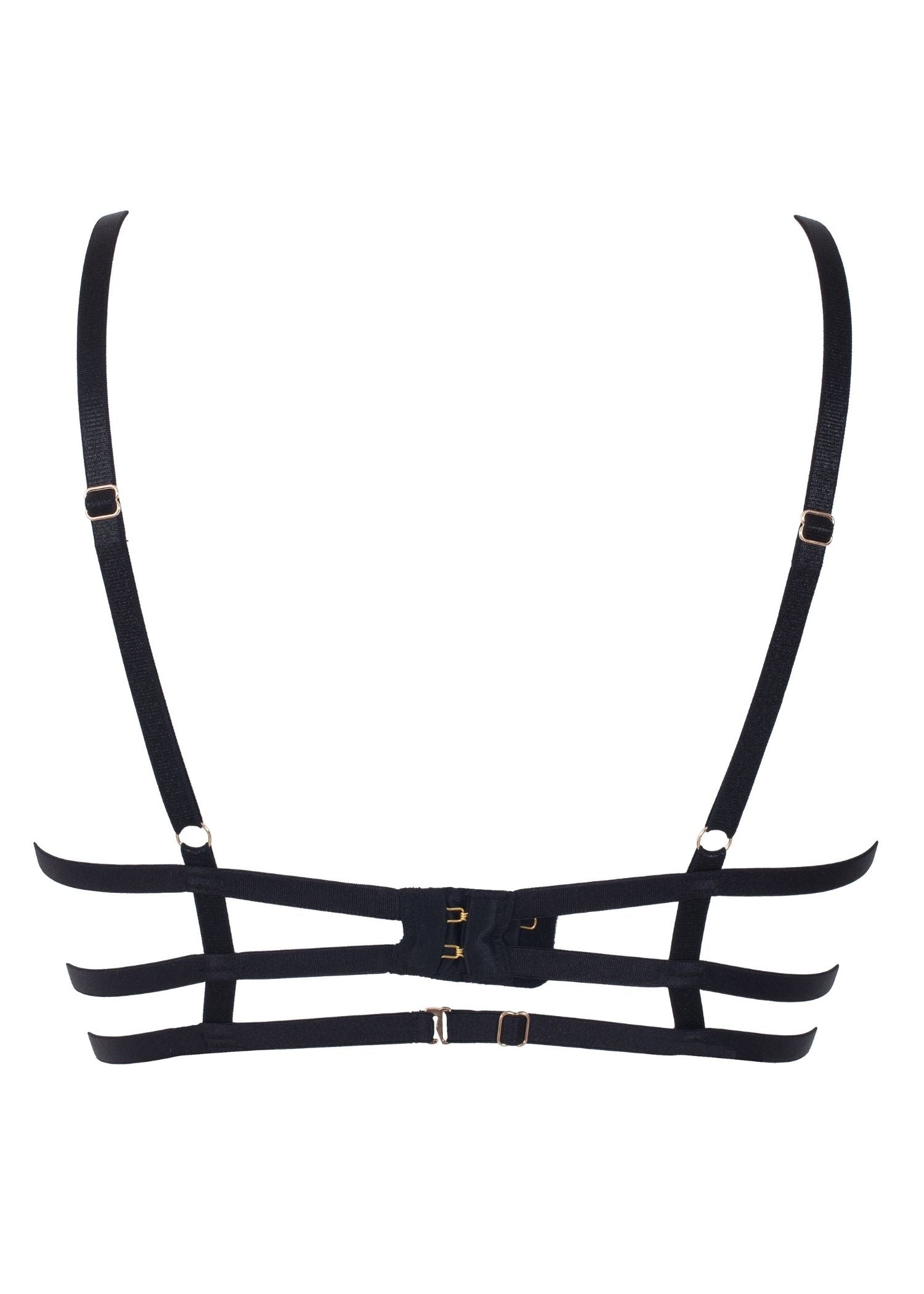 Bluebella Estelle Bra (Black) - Avec Amour Sexy Lingerie