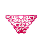 Bluebella LEONORA Brief (Fuchsia Pink/Sheer) | Avec Amour Sexy Lingerie
