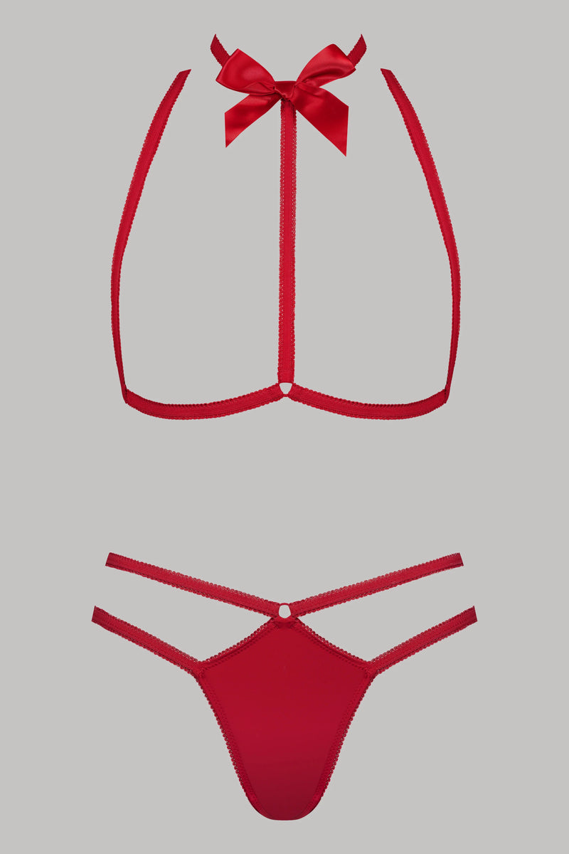 Le Petit Secret (Red) Harness and Thong Set