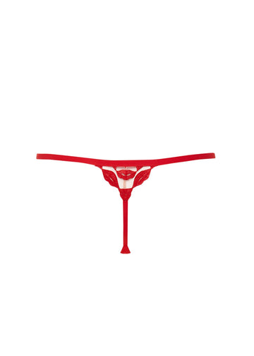 Red Transparent Panties With Embroidery Isolated Over White Stock