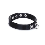 Metallic Shade Vegan Collar with Leash (Black)