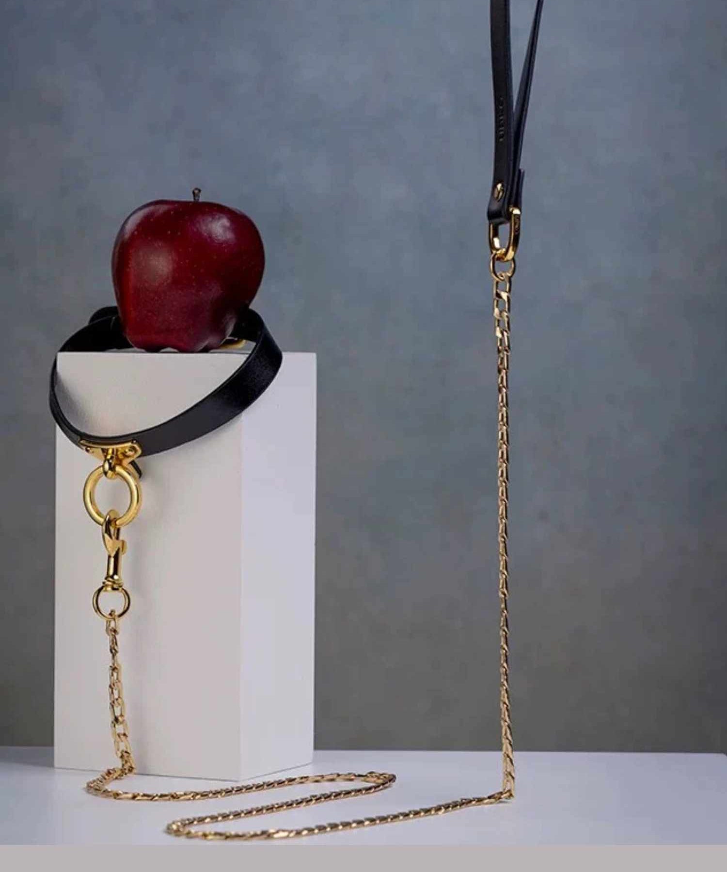 Leather Leash