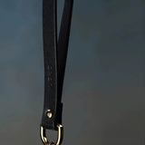 Leather Leash