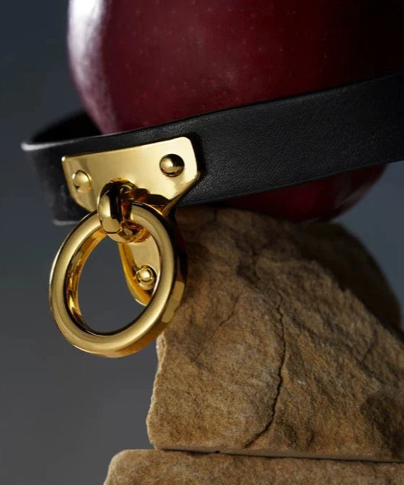 Leather Cosplay Choker