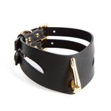 AVAM MOLTEN Leather Collar with Leash (Black) | Avec Amour Lingerie