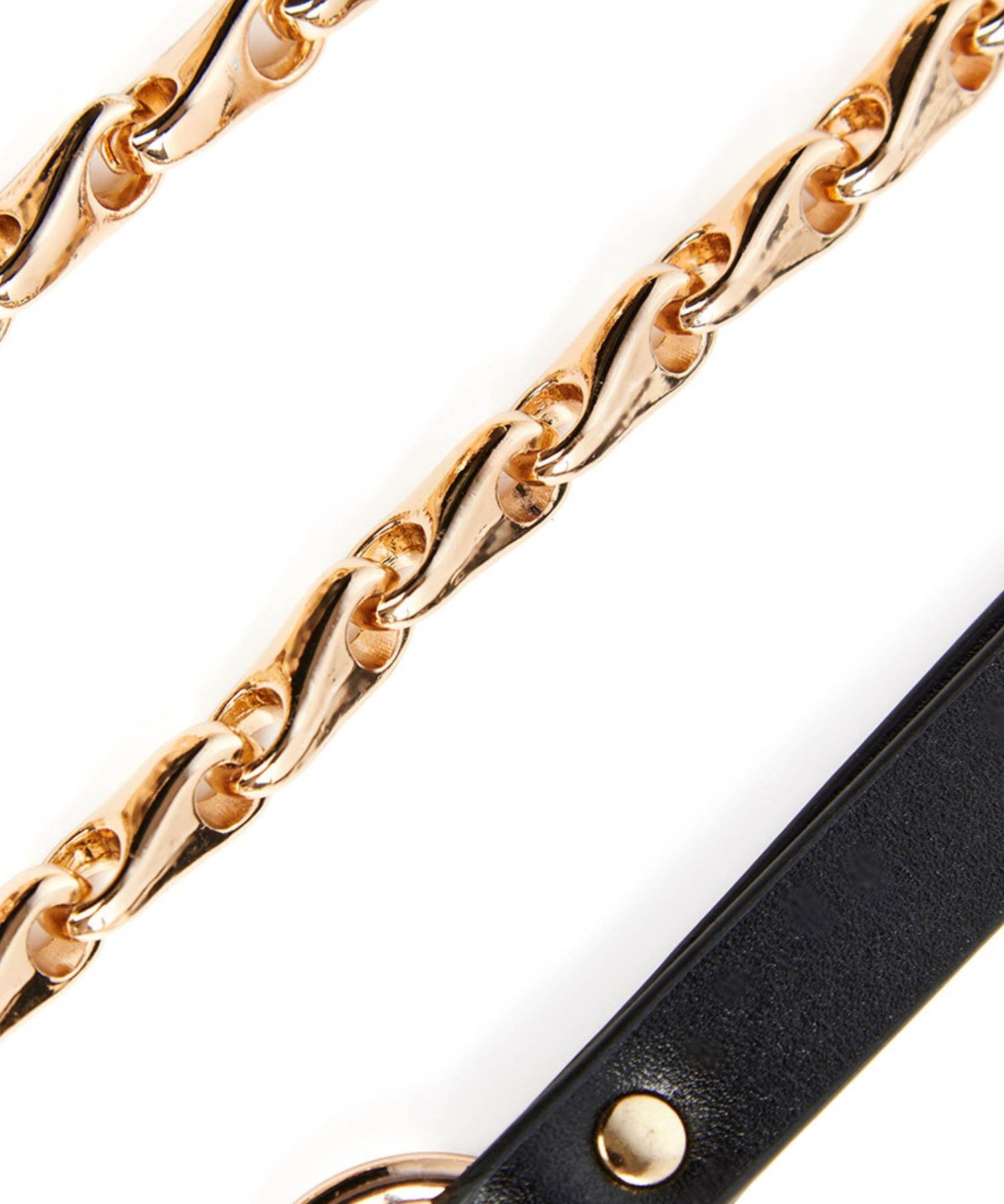 AVAM MOLTEN Leather Collar with Leash (Black) | Avec Amour Lingerie