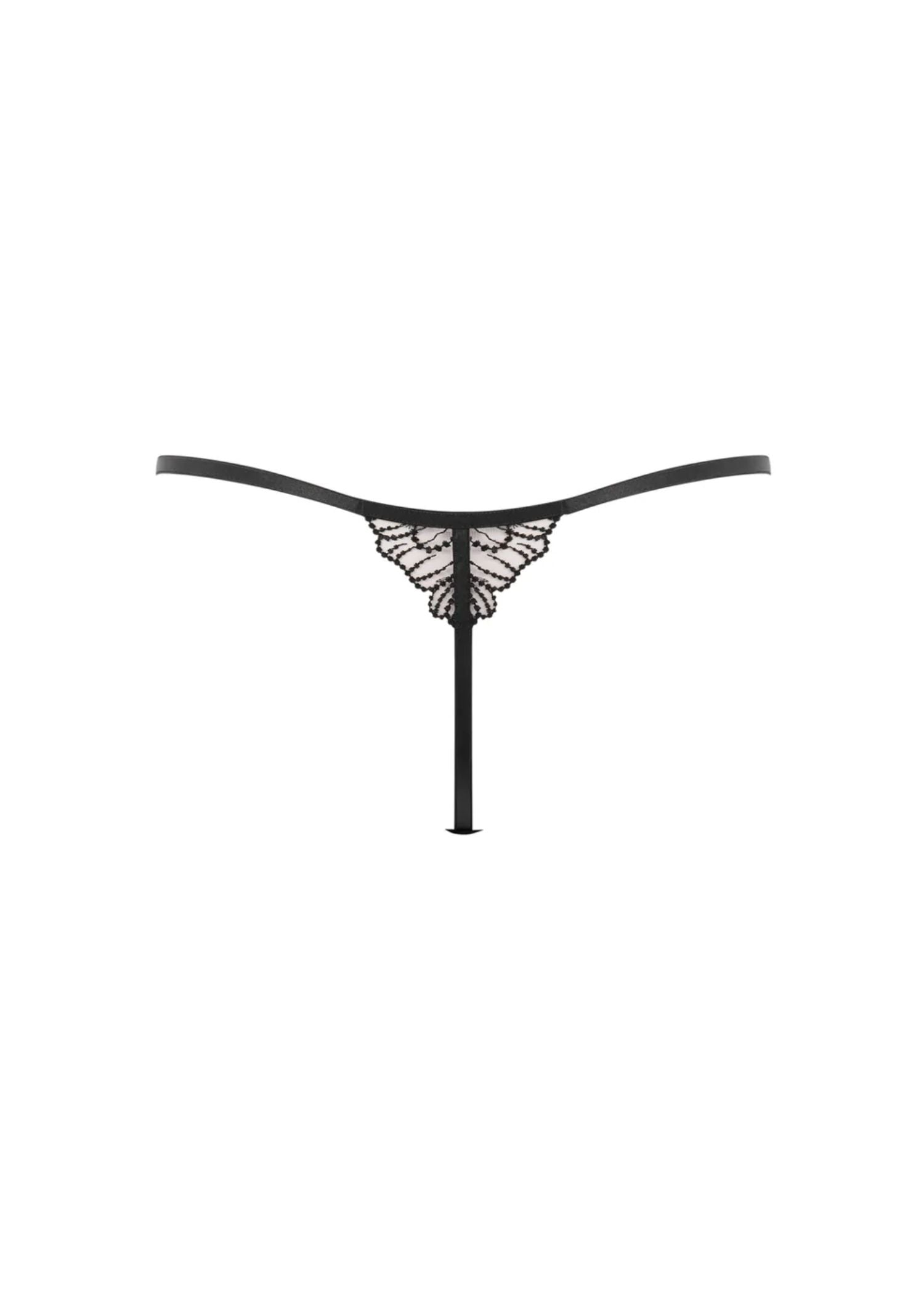 Bluebella Amasora Thong (Black/Sheer) | Avec Amour Luxury Lingerie