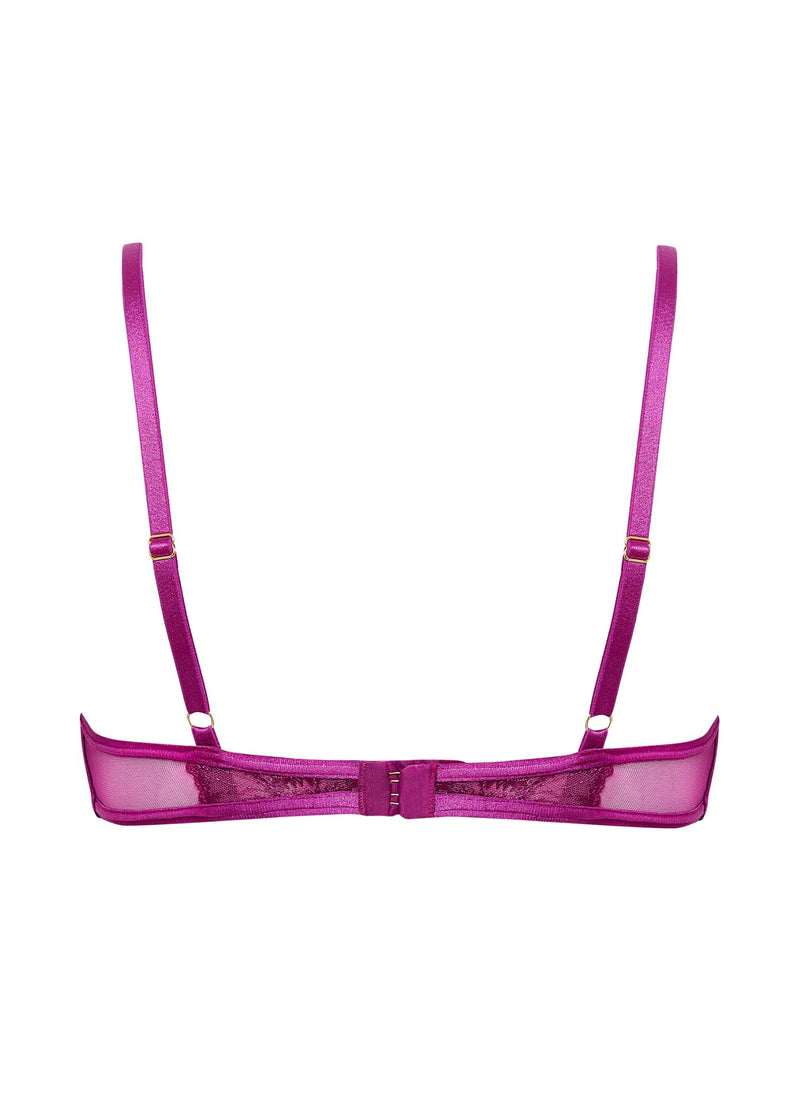 Bluebella Catalina Wired Bra (Bright Violet / Sheer) | Avec Amour Lingerie