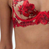 Bluebella Lavanya Longline Wired Bra (Red) | Avec Amour Lingerie