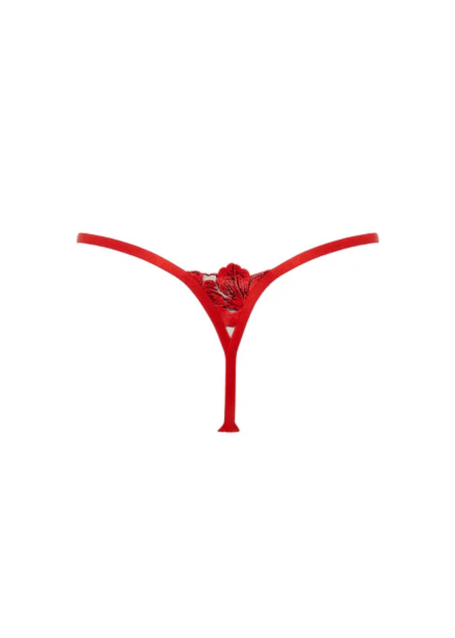 Bluebella Lavanya Thong (Red) | Avec Amour Lingerie