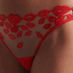 Bluebella MARIAN Panty (Tomato Red/Sheer) | Avec Amour Sexy Lingerie