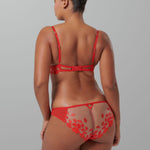 Bluebella MARIAN Panty (Tomato Red/Sheer) | Avec Amour Sexy Lingerie