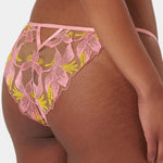 Bluebella Patrice Panty (Dianthus Pink/Blazing Yellow) | Avec Amour Lingerie