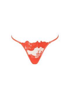 Bluebella Serenity Thong (Hot Coral / Sheer) | Avec Amour Lingerie