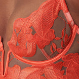 Bluebella Serenity Wired Longline Bra (Hot Coral / Sheer) | Avec Amour Lingerie
