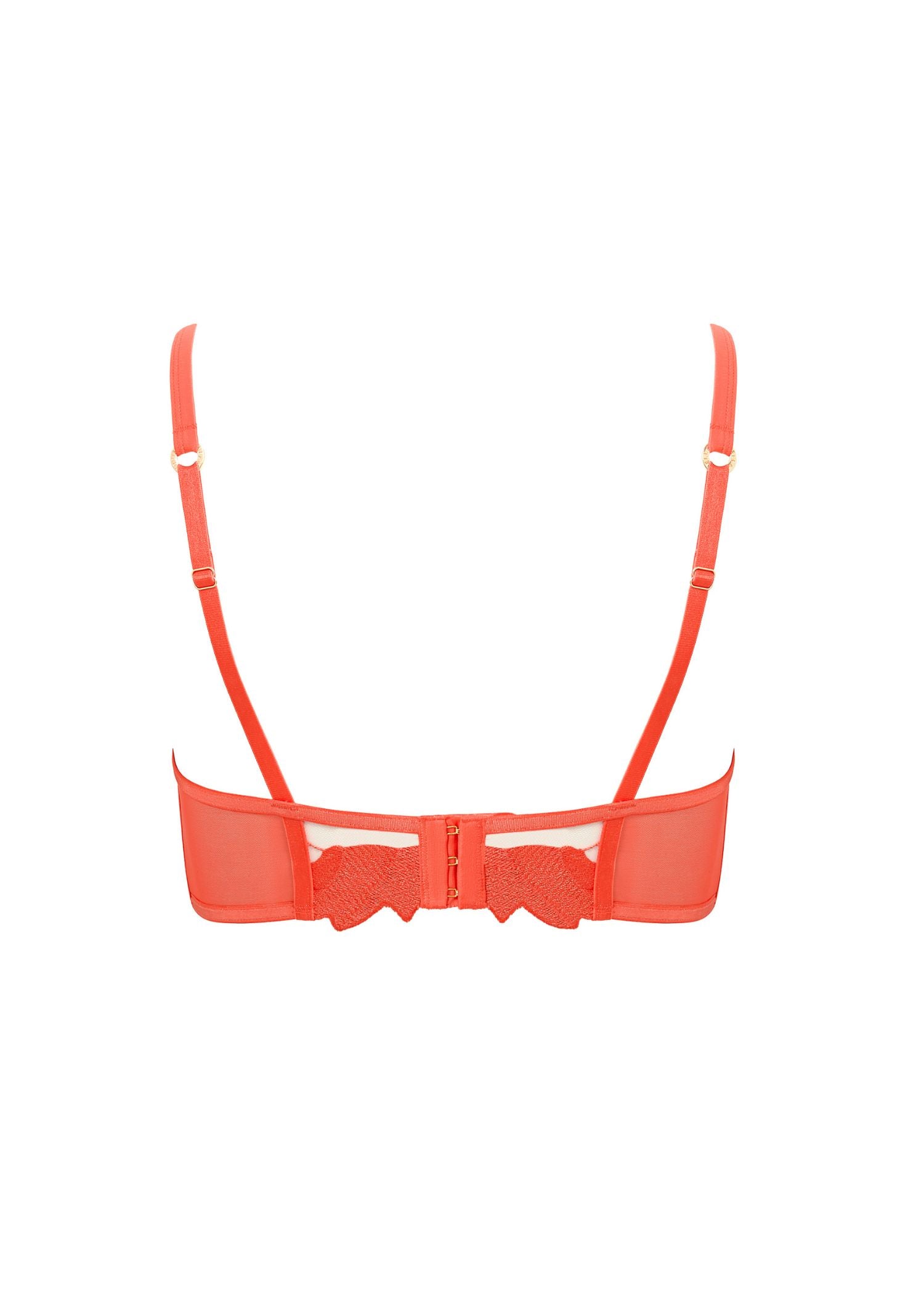 Bluebella Serenity Wired Longline Bra (Hot Coral / Sheer) | Avec Amour Lingerie