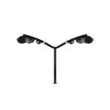 Bluebella Venus Thong (Black) | Avec Amour Lingerie