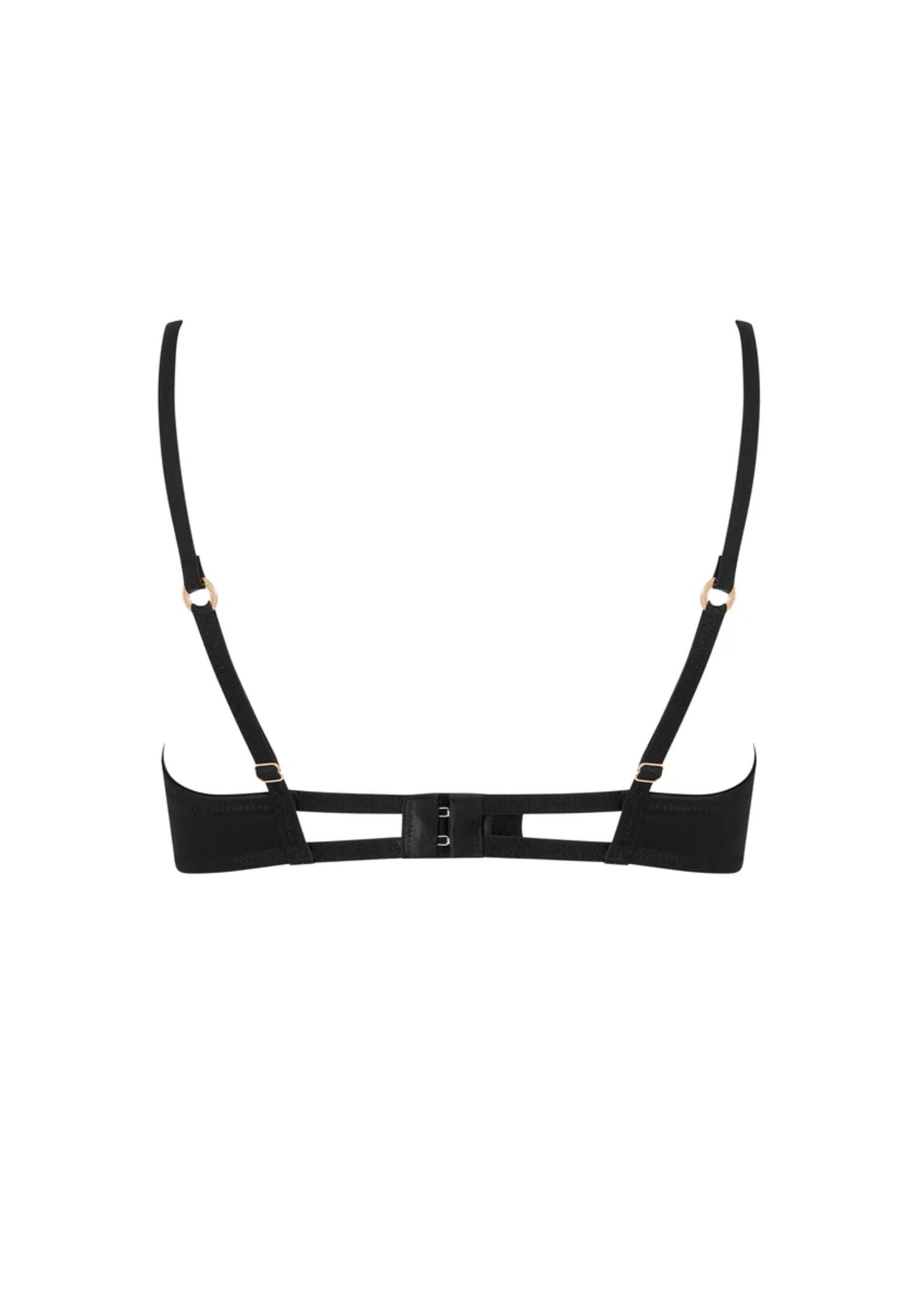 Bluebella Venus Wired Bra (Black) | Avec Amour Lingerie