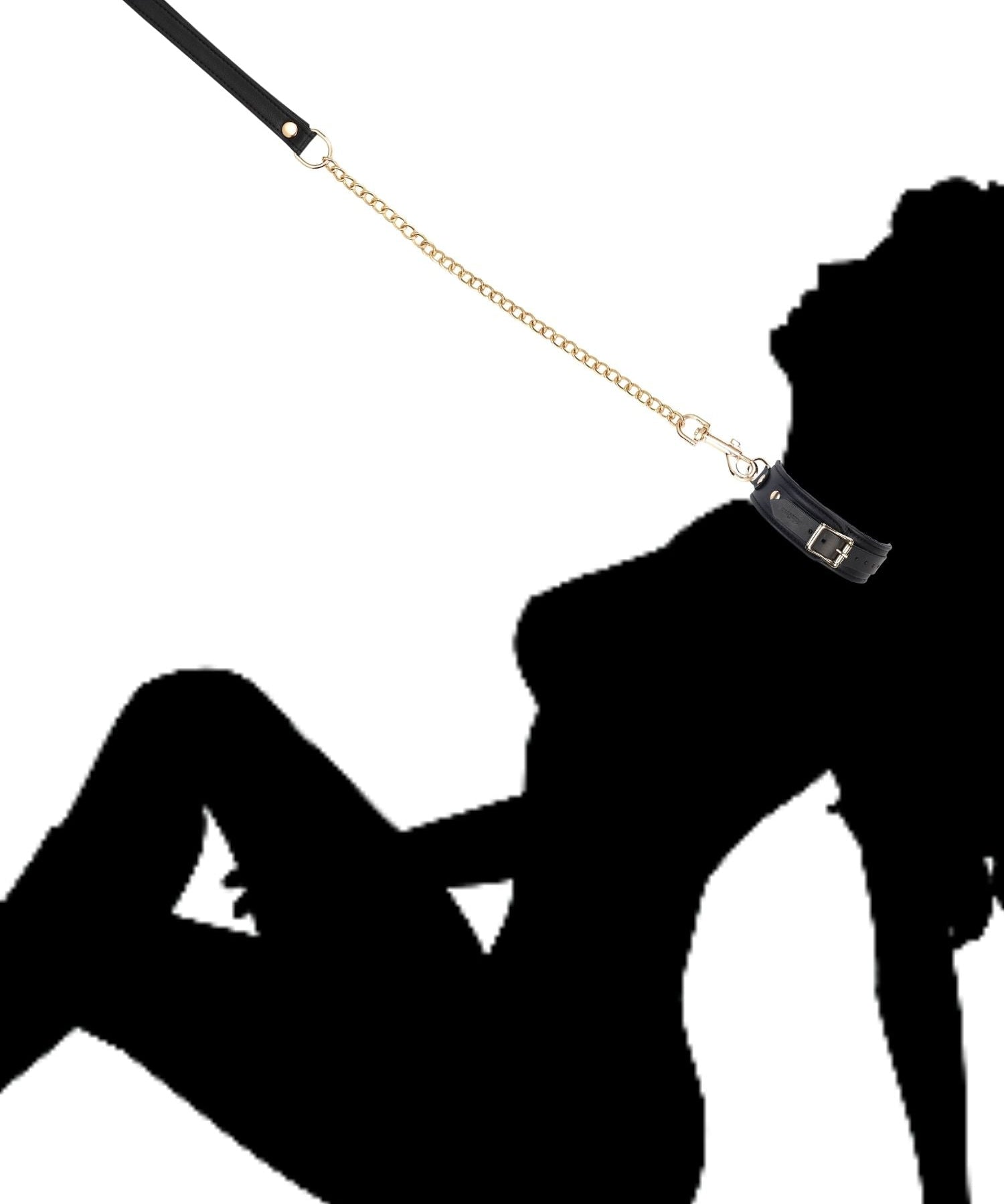 Liebe Seele Dark Secret Leather Collar & Leash | Avec Amour