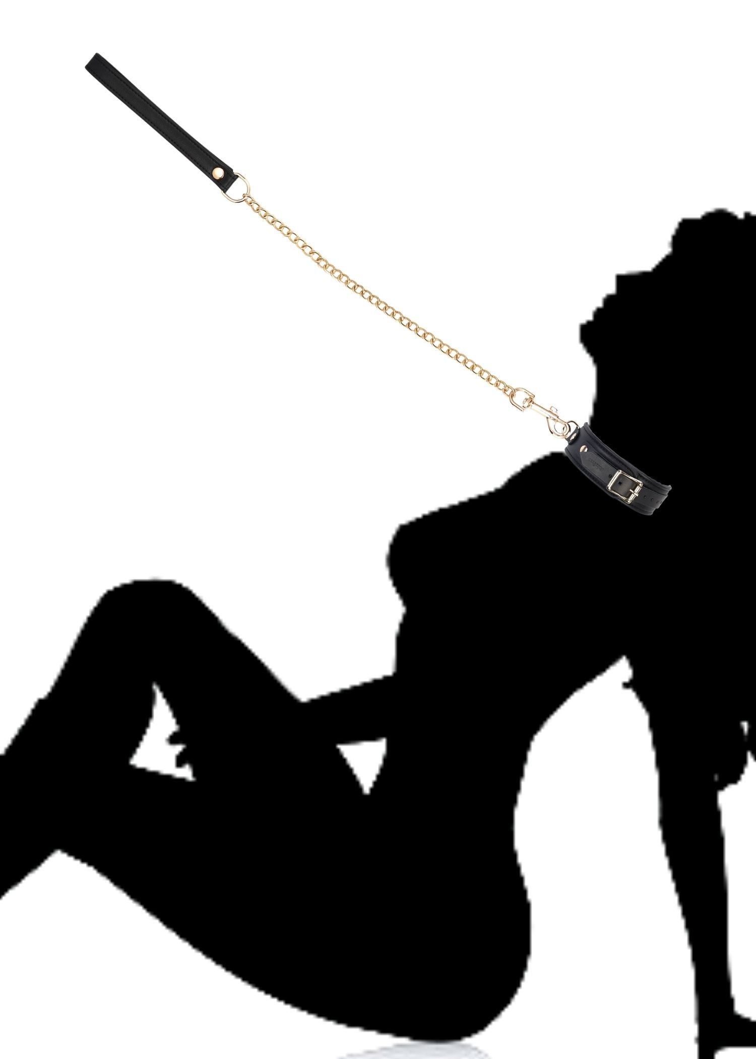 Liebe Seele Dark Secret Leather Collar & Leash | Avec Amour