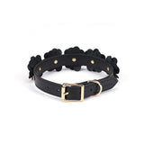 Flower Rhythm Leather Collar with Leash (Black)