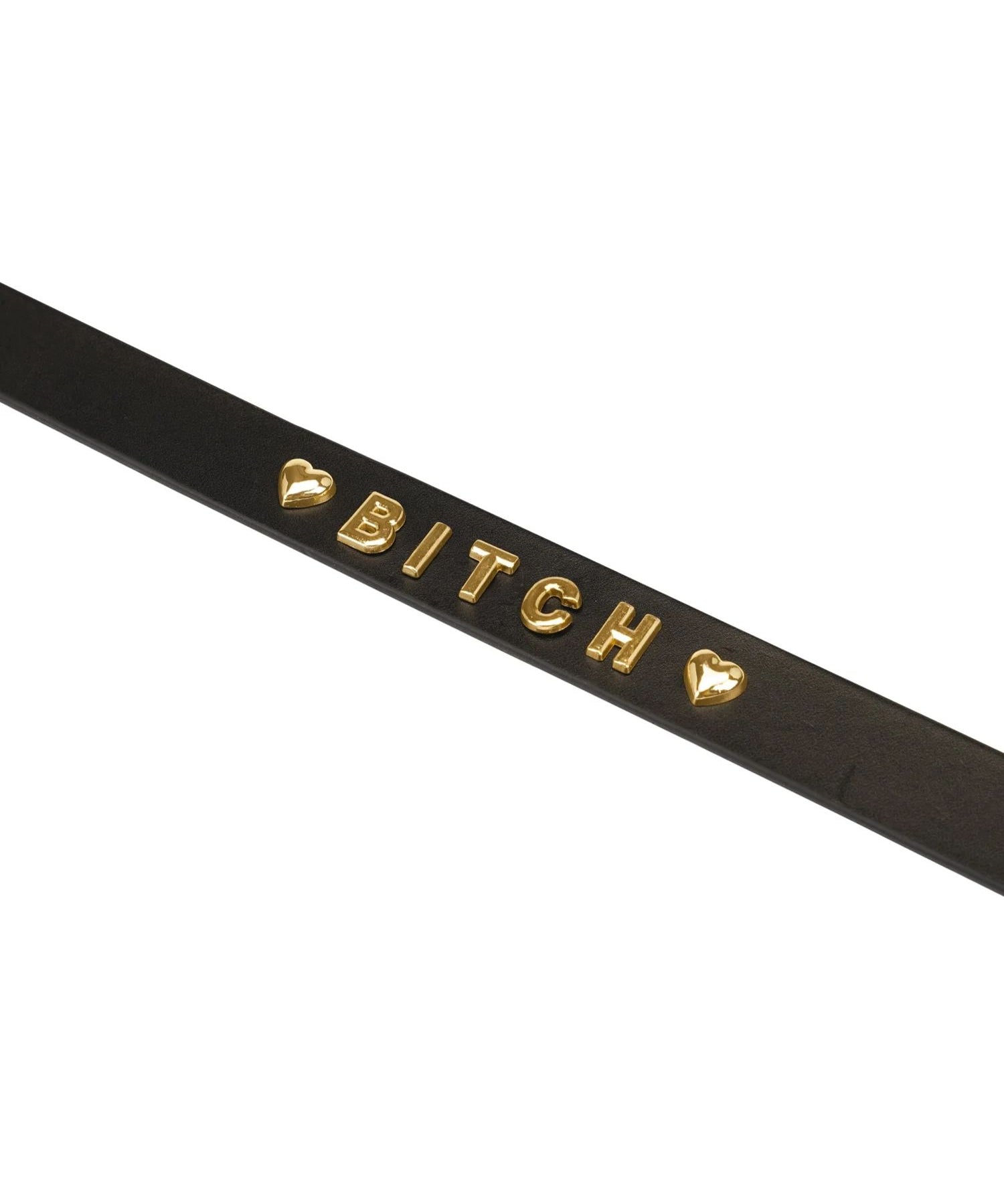 Liebe Seele Gold Word Choker (BITCH) | Avec Amour Leather Accessories