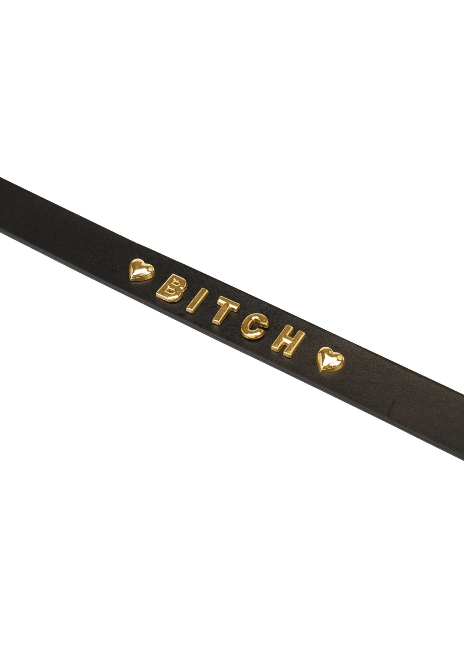 Liebe Seele Gold Word Choker (BITCH) | Avec Amour Leather Accessories