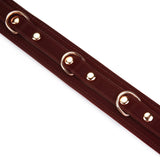Metallic Shade Vegan Leather Collar with Leash