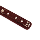 Metallic Shade Vegan Leather Collar with Leash