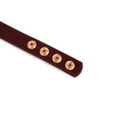 Metallic Shade Vegan Leather Collar with Nipple Clamps