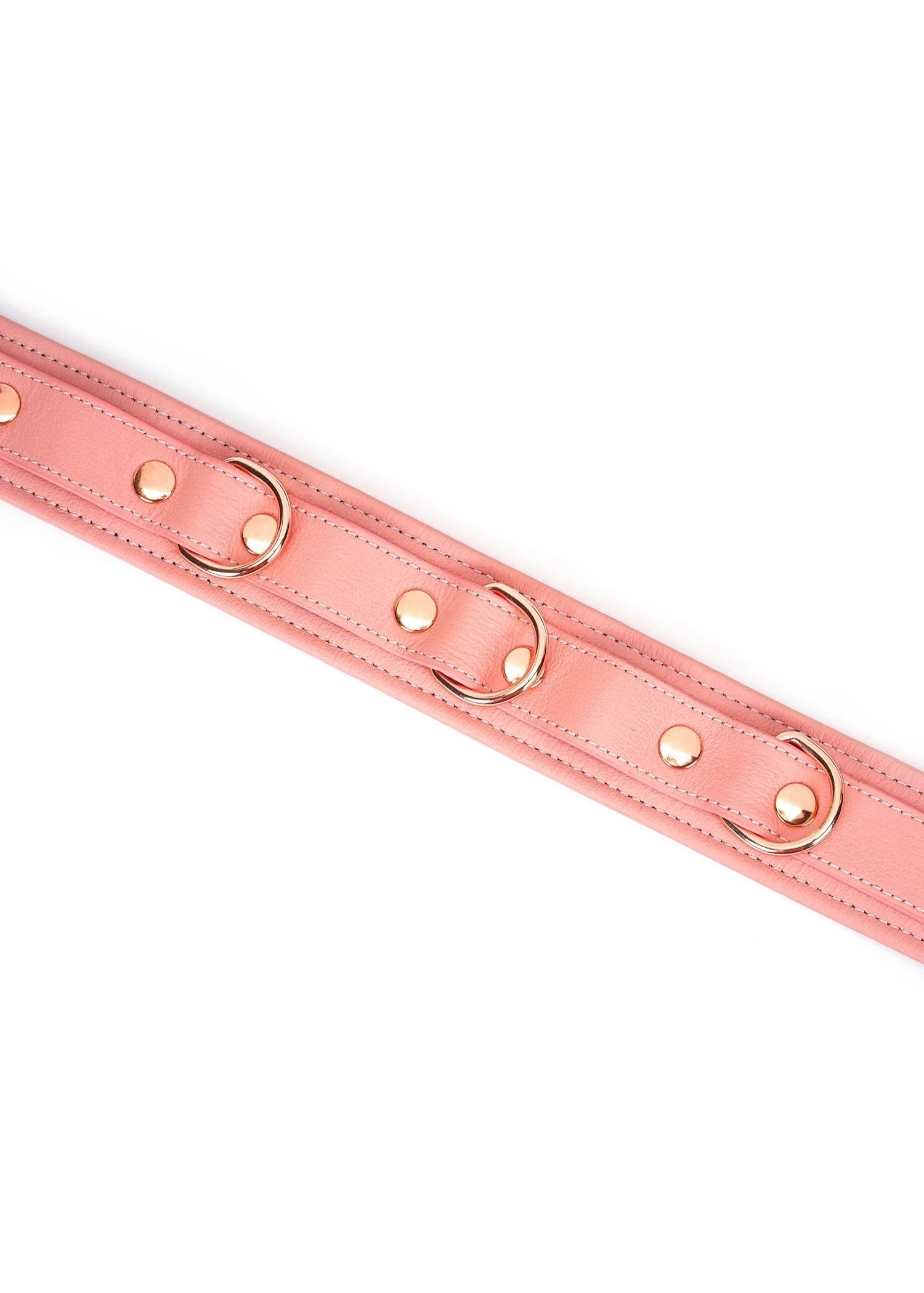 Liebe Seele Pink Dream Collar & Leash | Avec Amour Lingerie