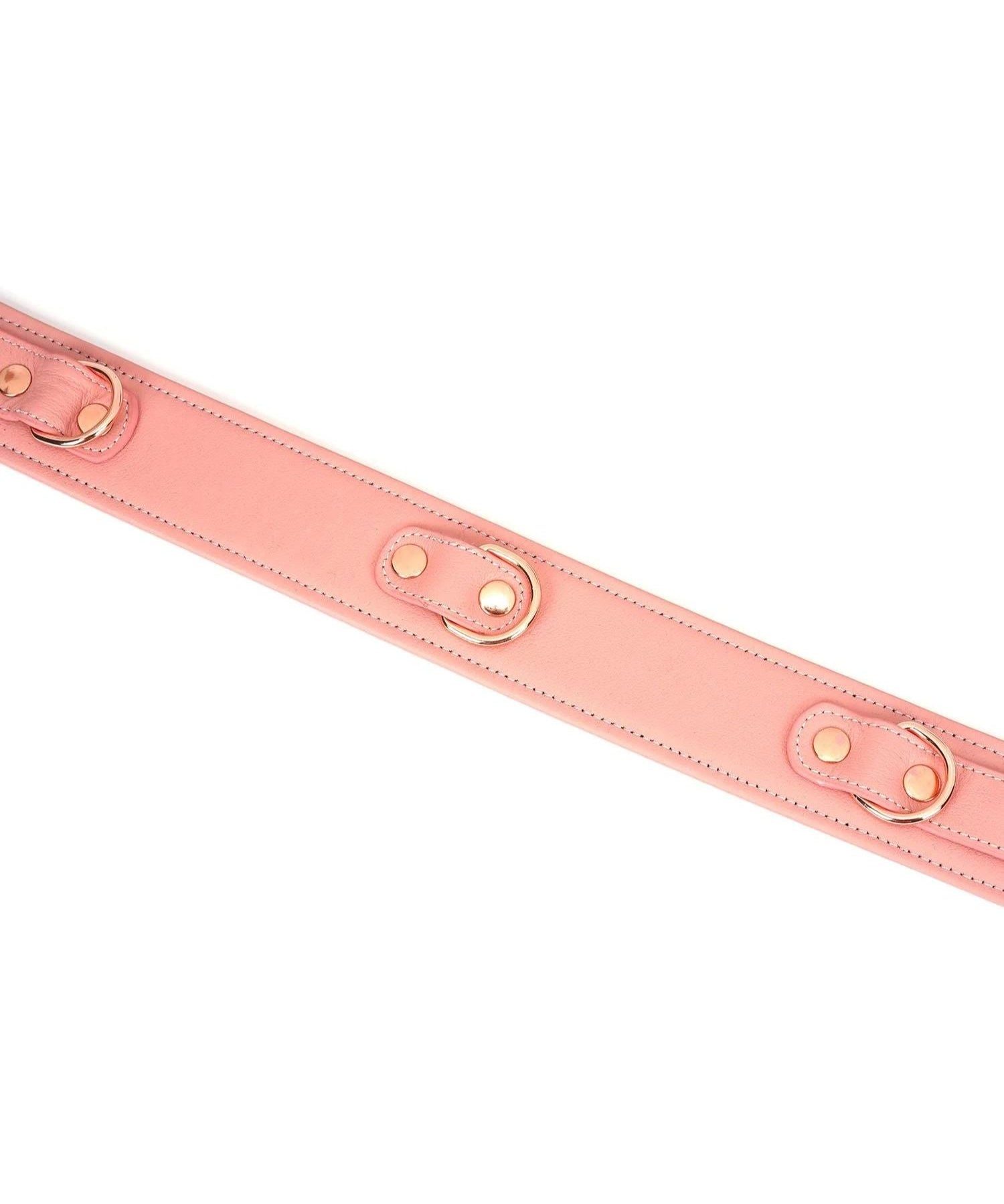 Liebe Seele Pink Dream Thigh Belt | Avec Amour Lingerie
