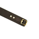 Samurai Leather Collar and Leash (Black)