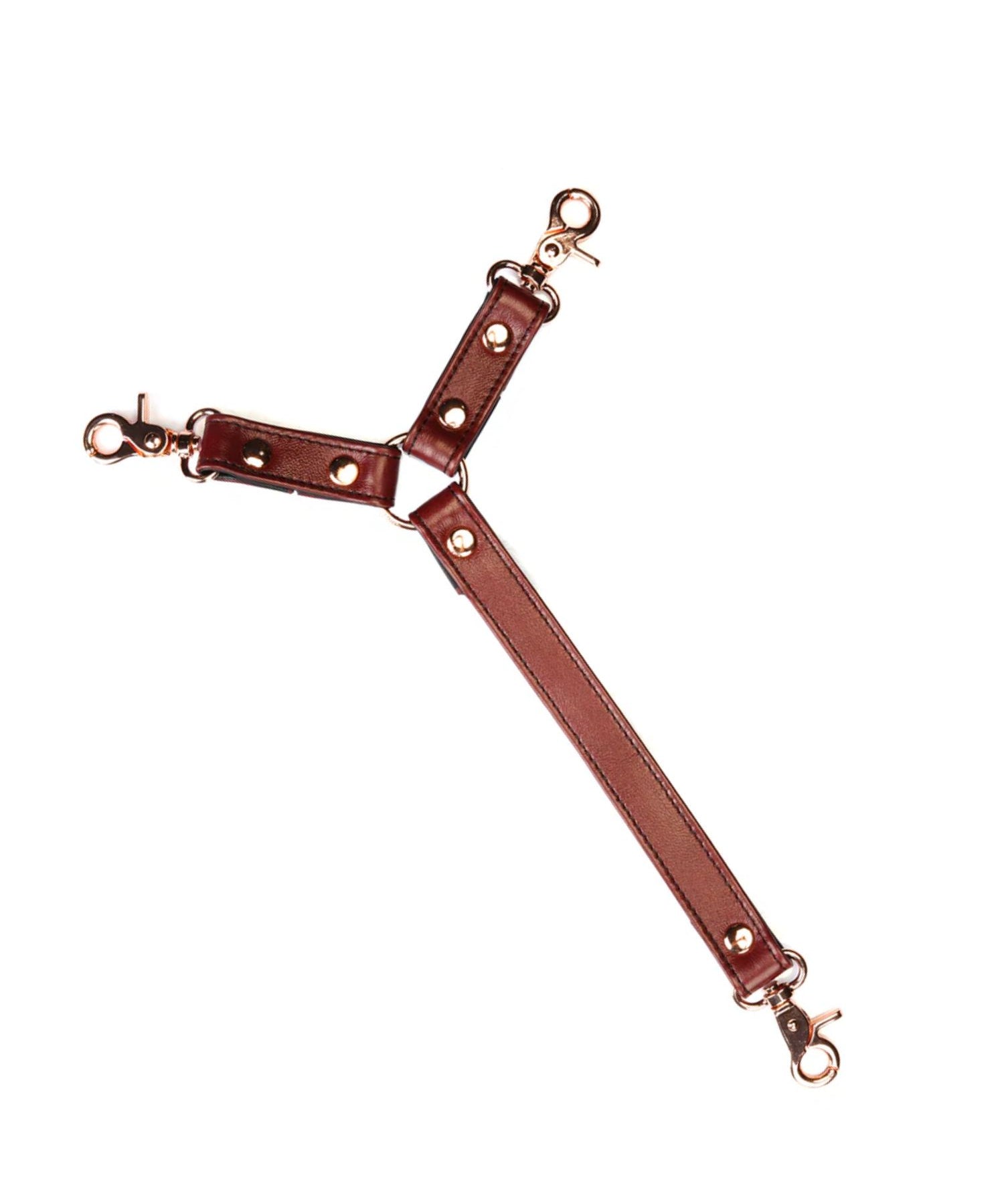 Liebe Seele Wine Red Leather Collar and Wrist Restraint | Avec Amour Lingerie